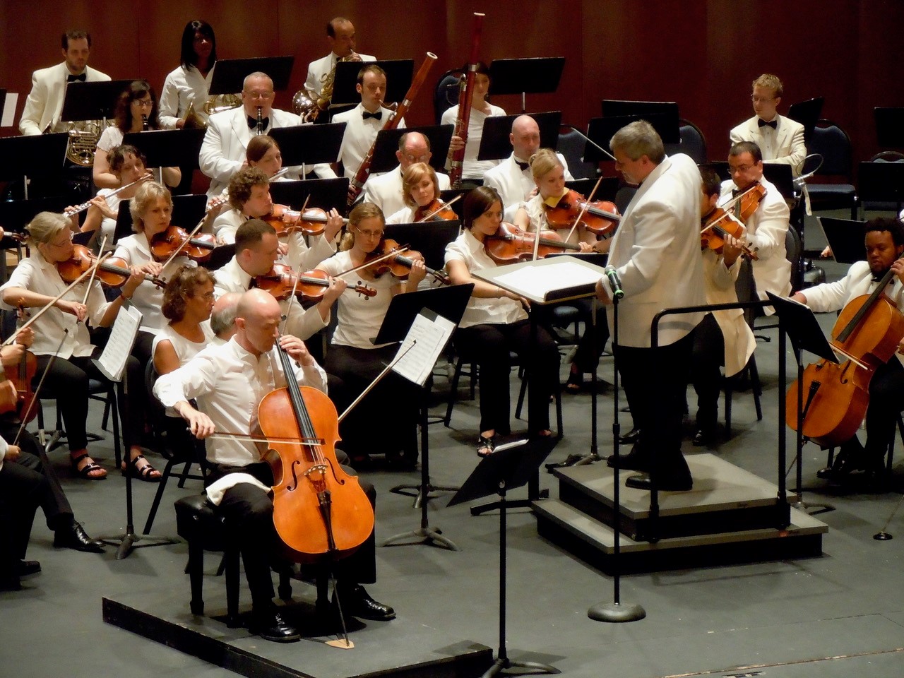 An orchestra is playing instruments