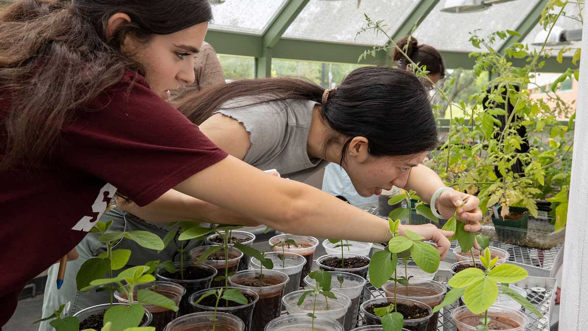 Two women are examining plants