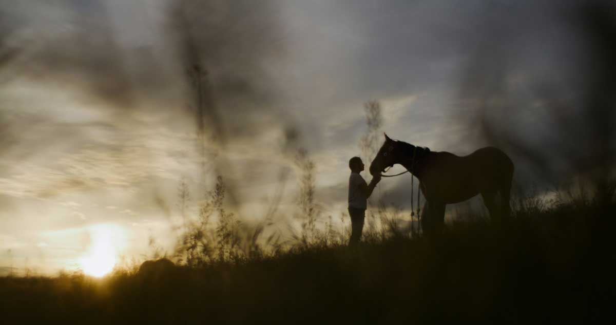 Image of a person and a horse in a foggy field