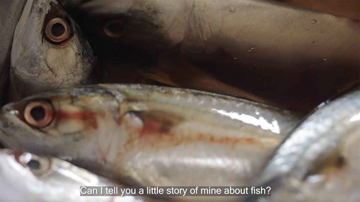 Image of fish; text on the image reads, Can I tell you a little story of mine about fish?