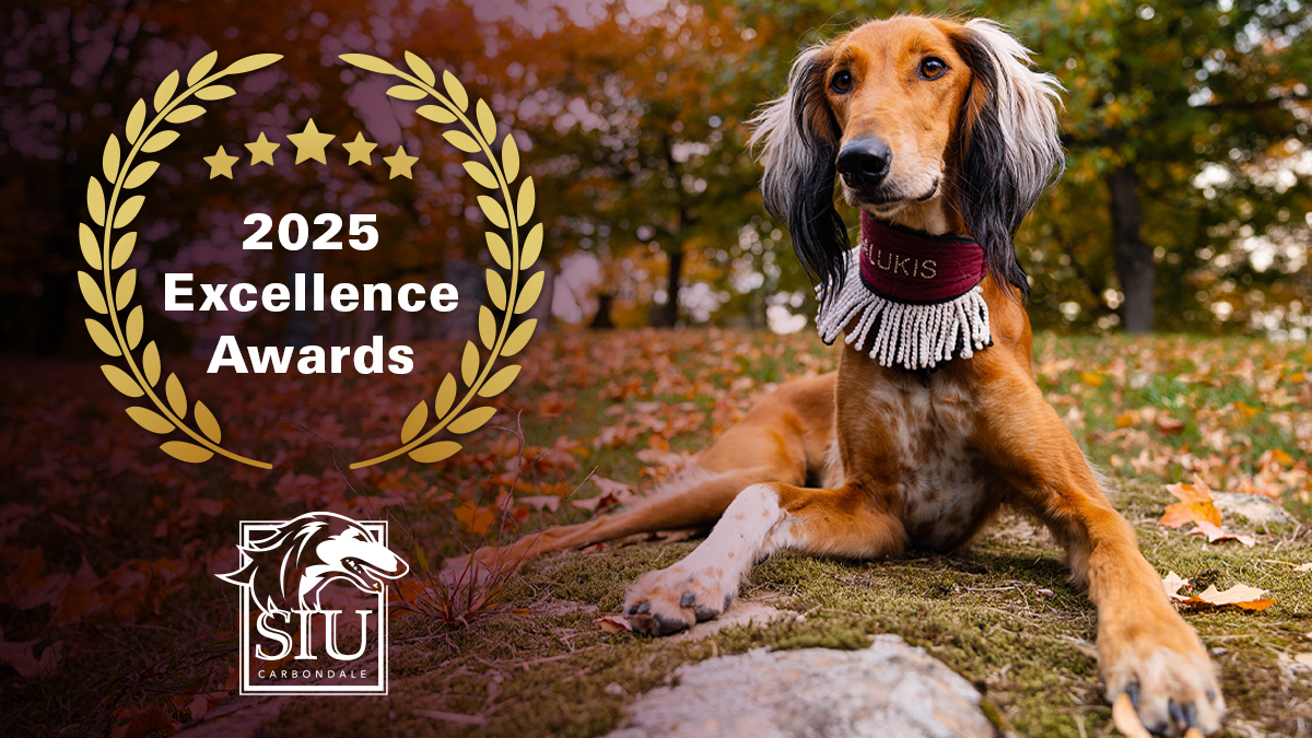 2025 Excellence Awards.