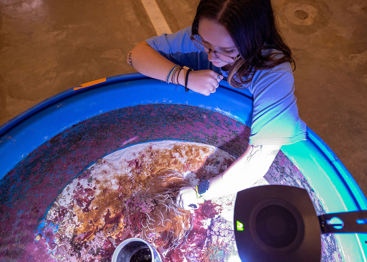 A student tends to a tank at a coral farm.