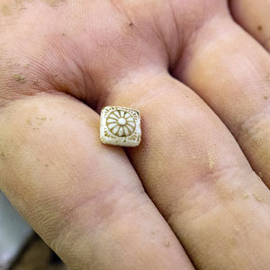 Small button found in the dirt.