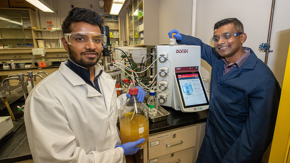 Two researchers are working in a lab.