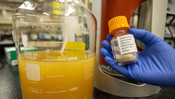 Close up image of items made in a lab.