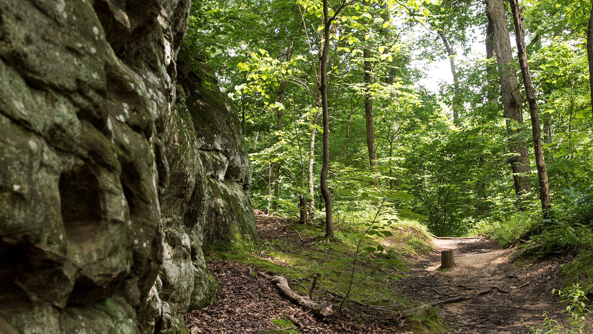 A path in a wooded area. Rock bluffs are visible and the foliage is a deep green.