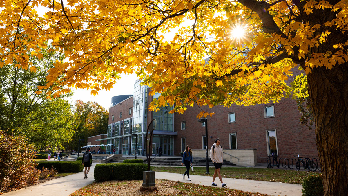 Students are walking outside of Morris Library on a fall day. The sun is shining through the golden leaves on the trees.