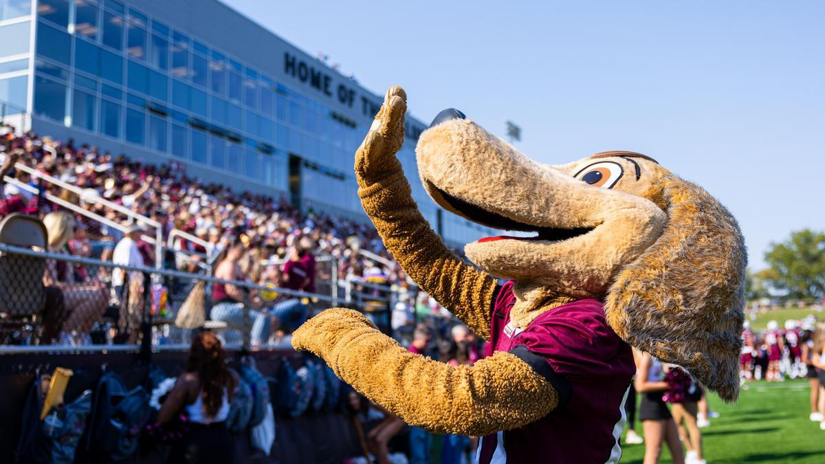 Brown dawg waves to the crowd at a football game.