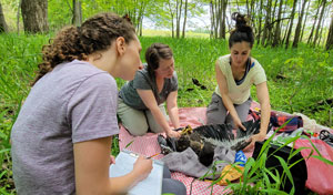 Marie-Sophie Garcia-Heras handles a nestling bald eagle.