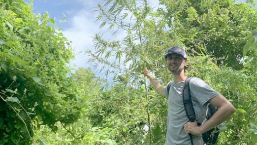 A man standing next to a hemp plant.