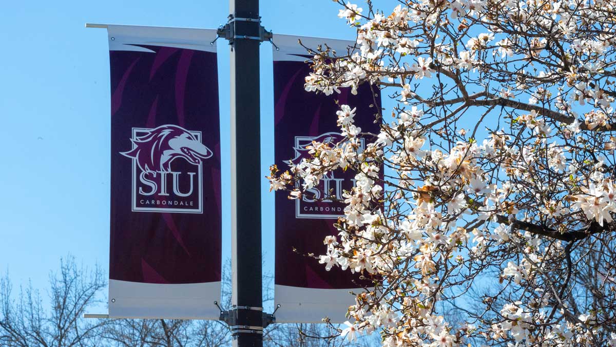 SIU Carbondale banners on a pole. 