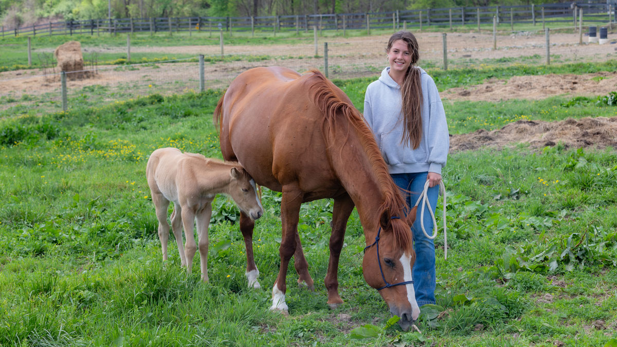 A SIU student with a horse and new foal.