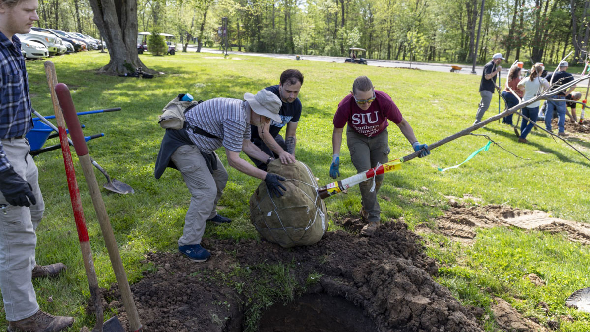 People planting a tree.