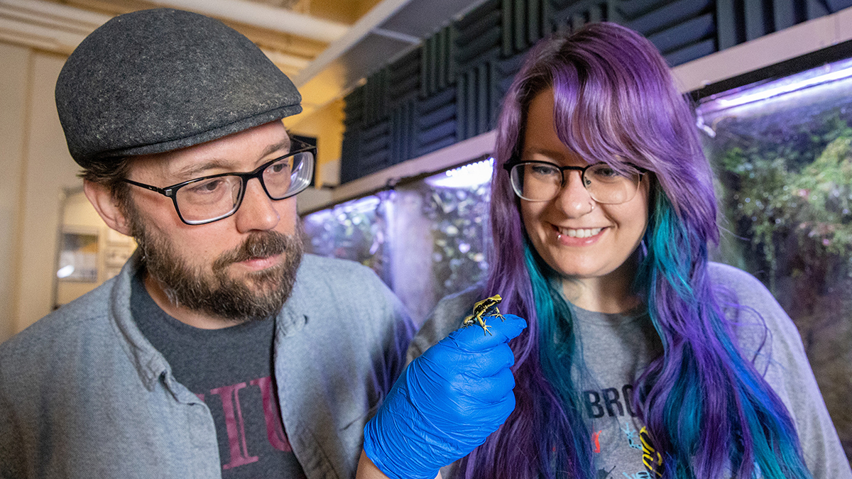 Jason Brown and BreAnn Geralds showing off the Inti Poison frog, one of three new species discovered.