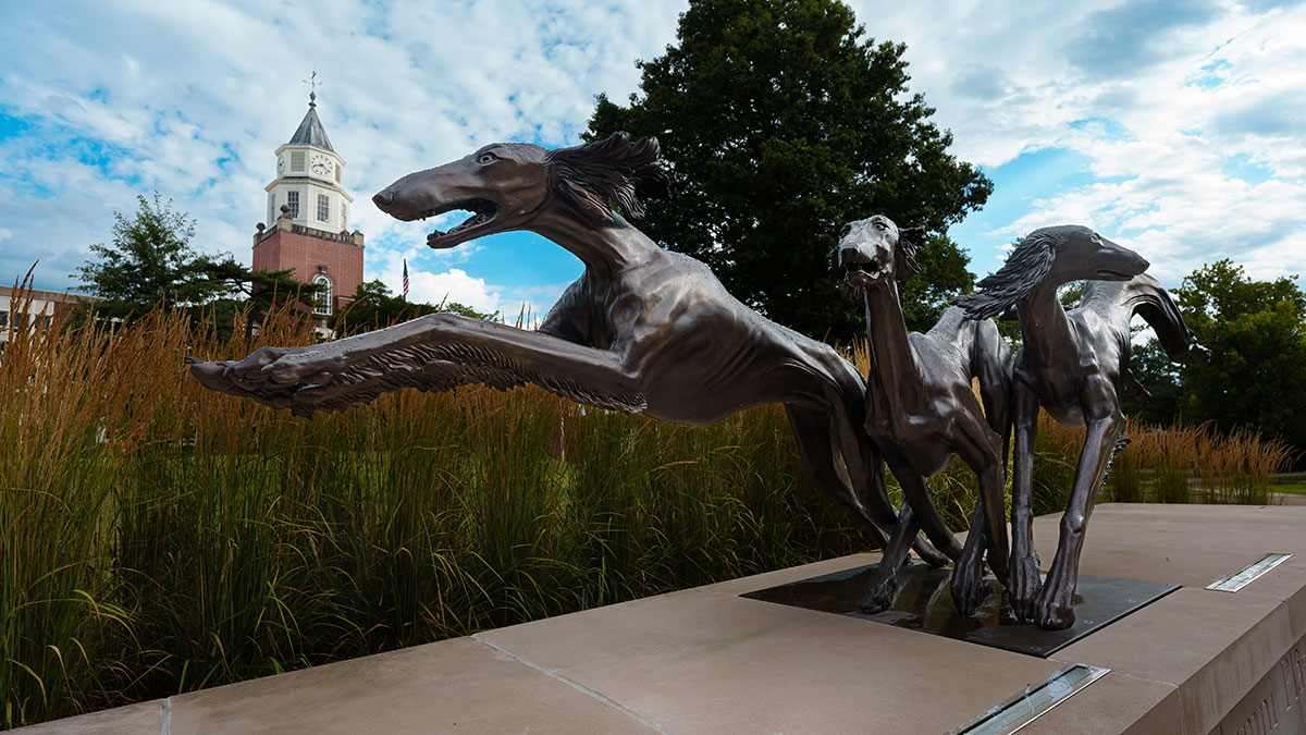 Saluki statue in Alumni plaza.