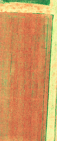Drone image of an agricultural plot.