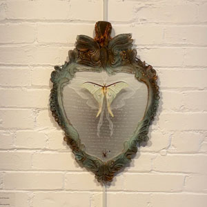 Julia Jenkins art exhibition photo