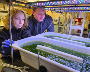Researchers observe a man-made riverbed.