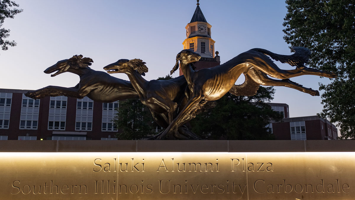 Saluki Alumni Plaza at night.