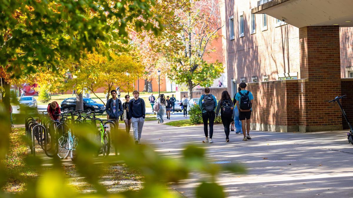 Students walk to class on a fall day at SIU Carbondale.