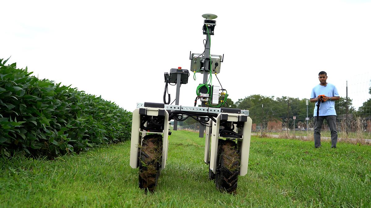 A man operates a robot beside a soybean field.