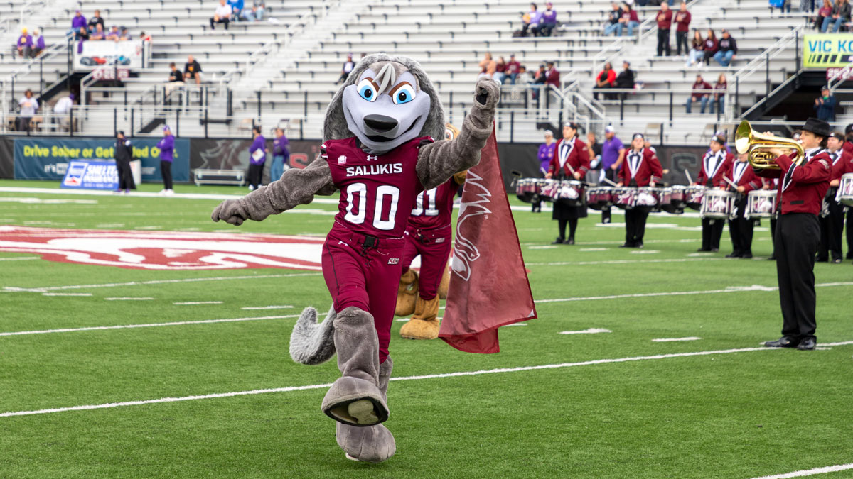 SIU Carbondale's mascot, Grey Dawg, on the field at Saluki Stadium.