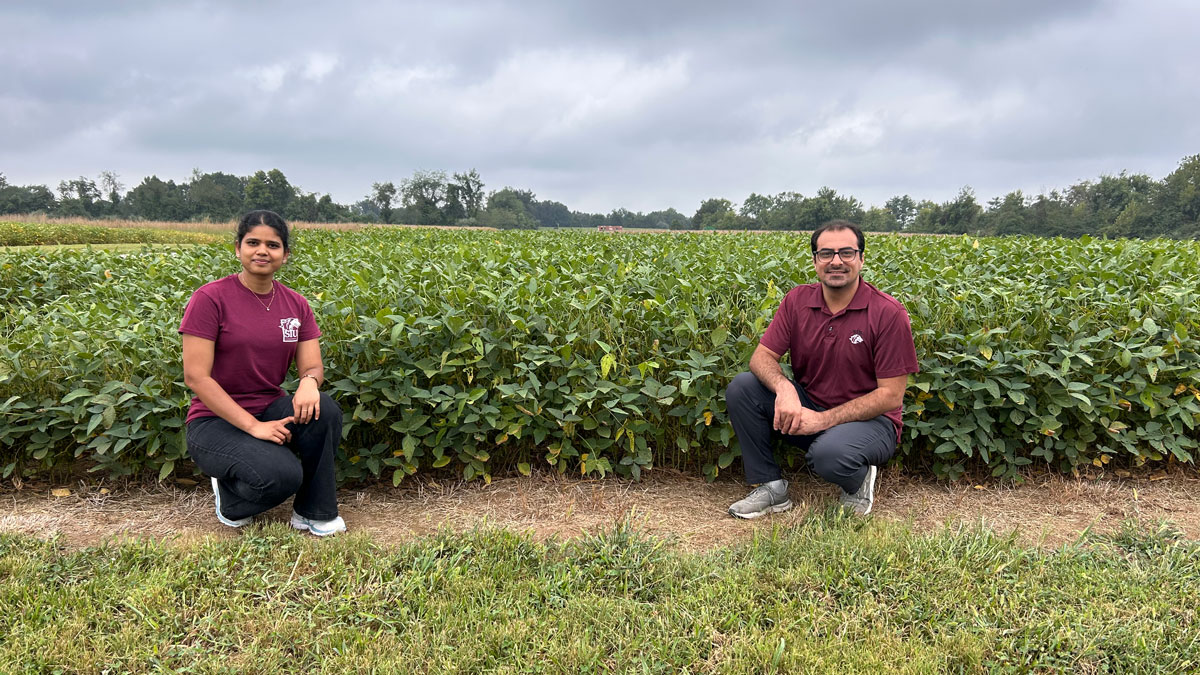 Two SIU Carbondale grad students pose for a picture in front of a soybean field. Both people are squatted down.